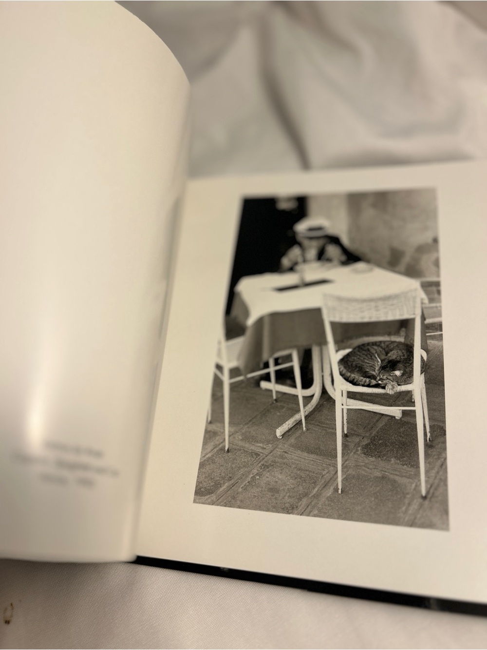 City Cats 90s Hardcover Photo Book Jean-Claude Suarès Italy vintage cat pictures - Picture 13 of 17